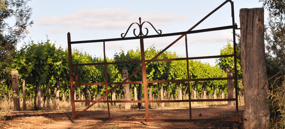 Gate going to the vineyard 